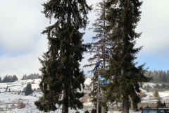 dsc00980